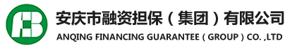 遂寧市宸安投資有限公司